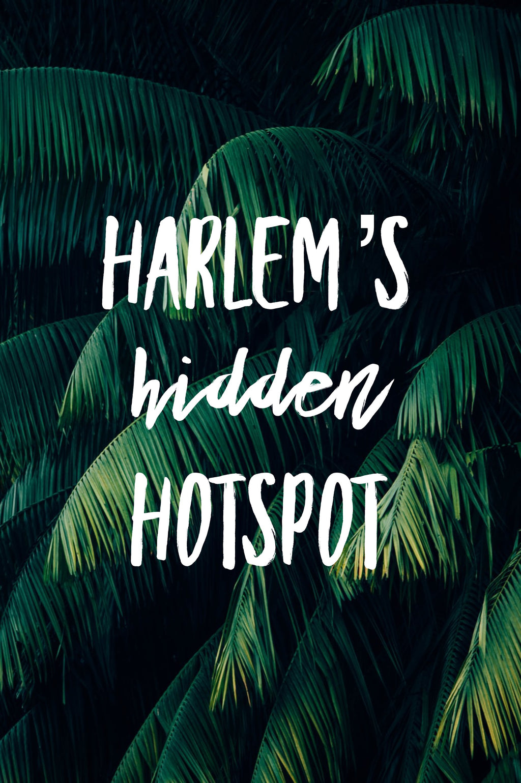 Harlem’s Hidden HotSpot Gift Cards.